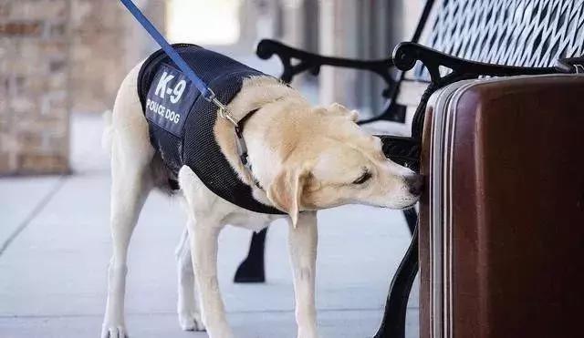 中国大学最不好就业的10个专业,大学十大冷门专业天坑