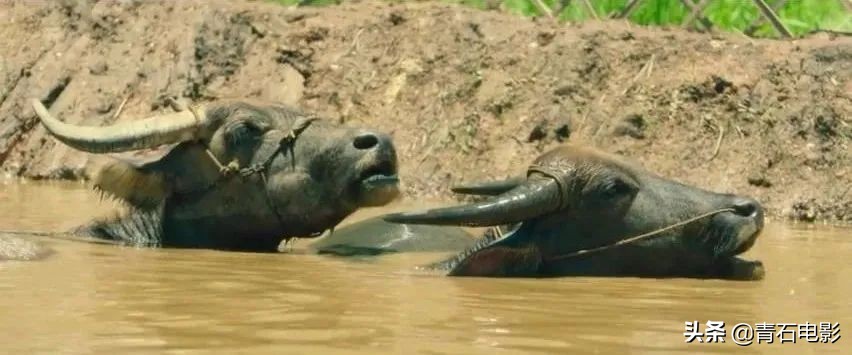 一点就到家豆瓣点评,一点就到家口碑