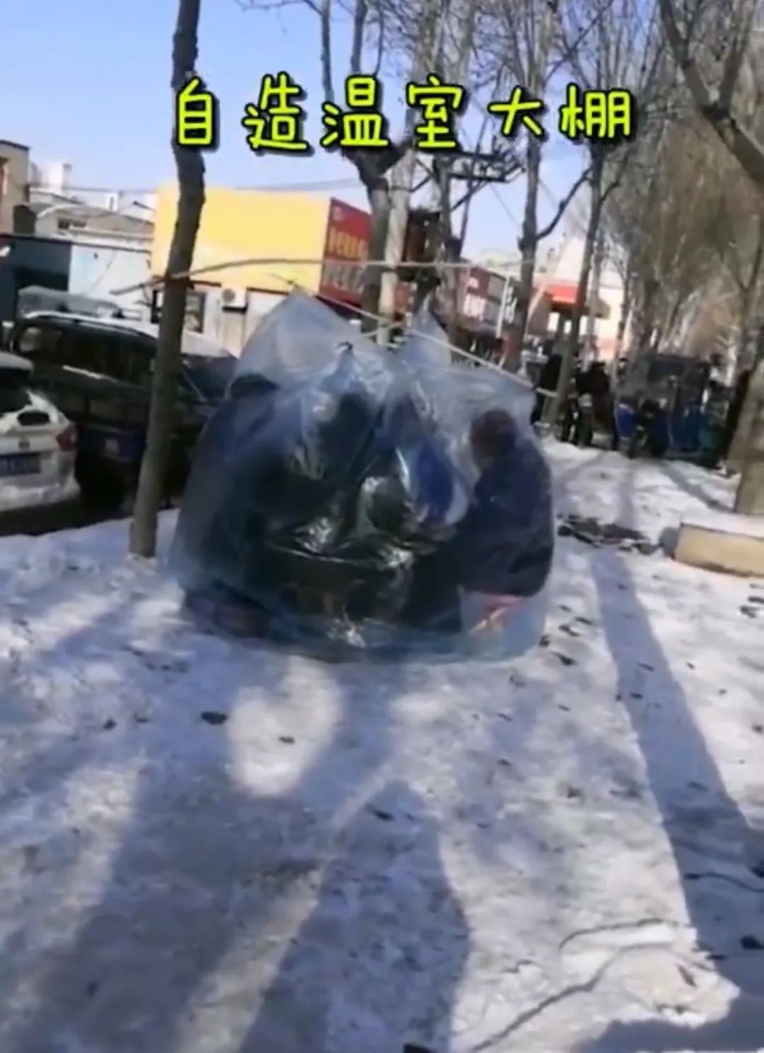 炸天！辽宁大爷大妈雪地里搭塑料棚打扑克火遍全网，还上了@人民日报