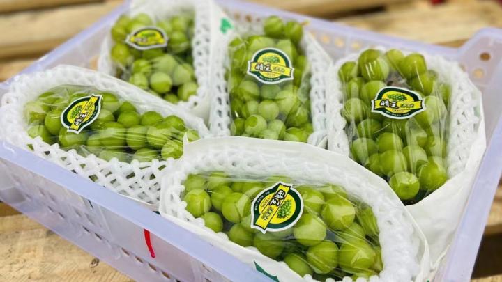 水果店开业宣传朋友圈怎么发,水果店开业活动宣传语大全简短