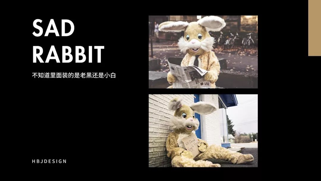 如何在一页ppt依次放图,如何在一张ppt上放多张图片