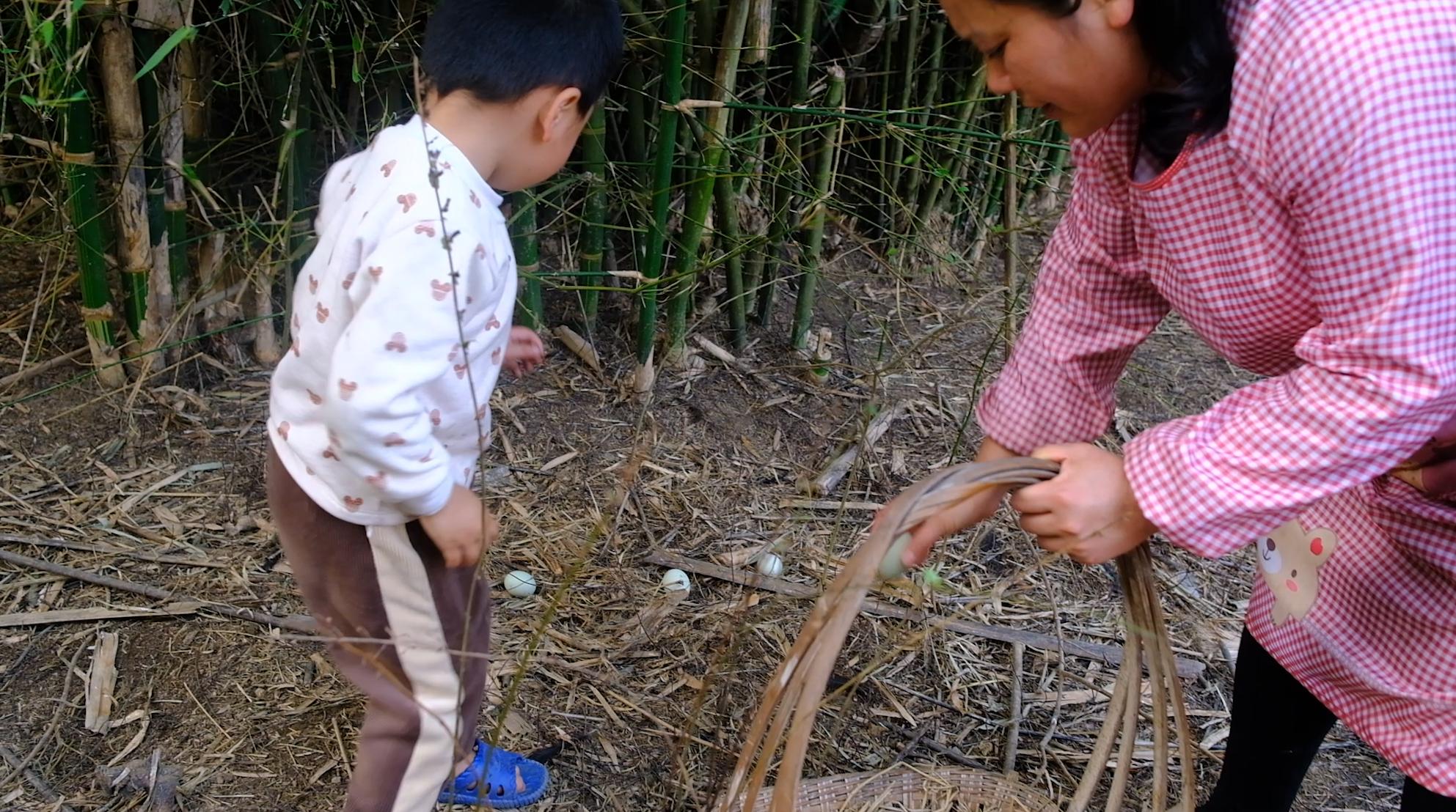 卖完公鸡留母鸡生蛋,不按斤按盒卖70-100块,居然收入千万