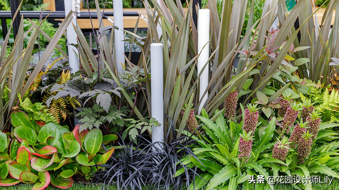 2023年切尔西花展各个花园的介绍,切尔西花展最佳花园