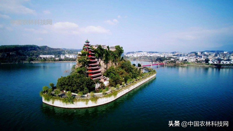 江上琼阁石宝寨!一县一品公益助农,重庆忠县农特产品柑橘