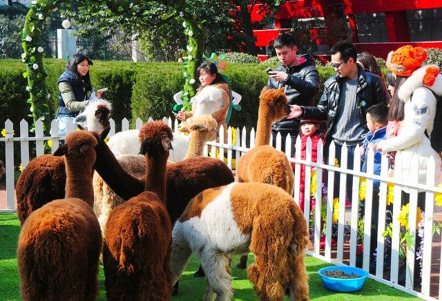 杭州必打卡景点人气榜,杭州旅游必须去的十大景点推荐