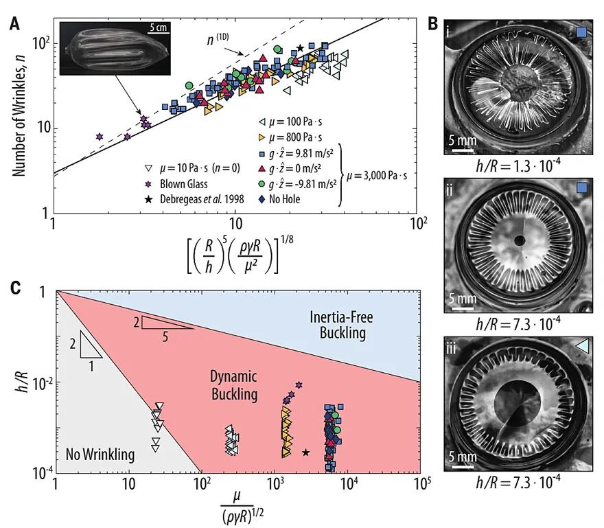 才下又上,nature期刊最新封面