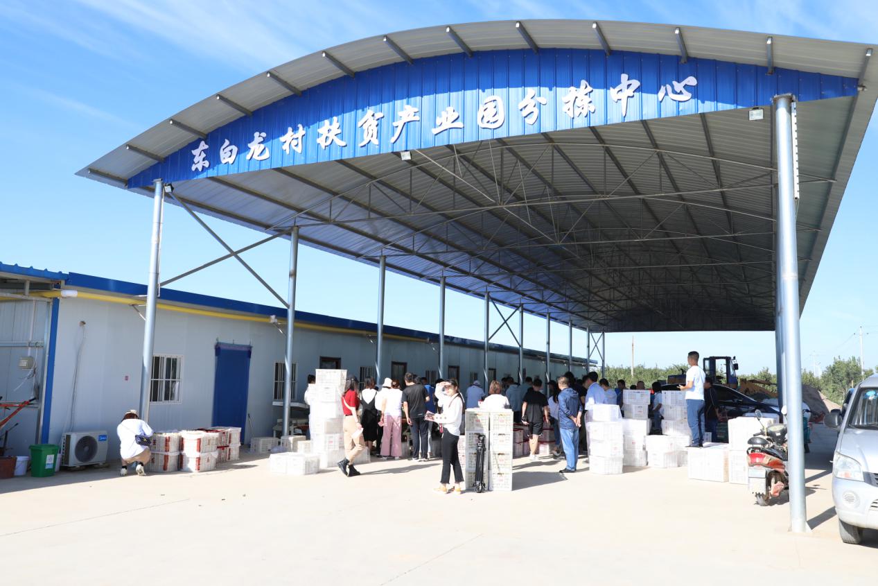 种植致富树,种植农民致富新路