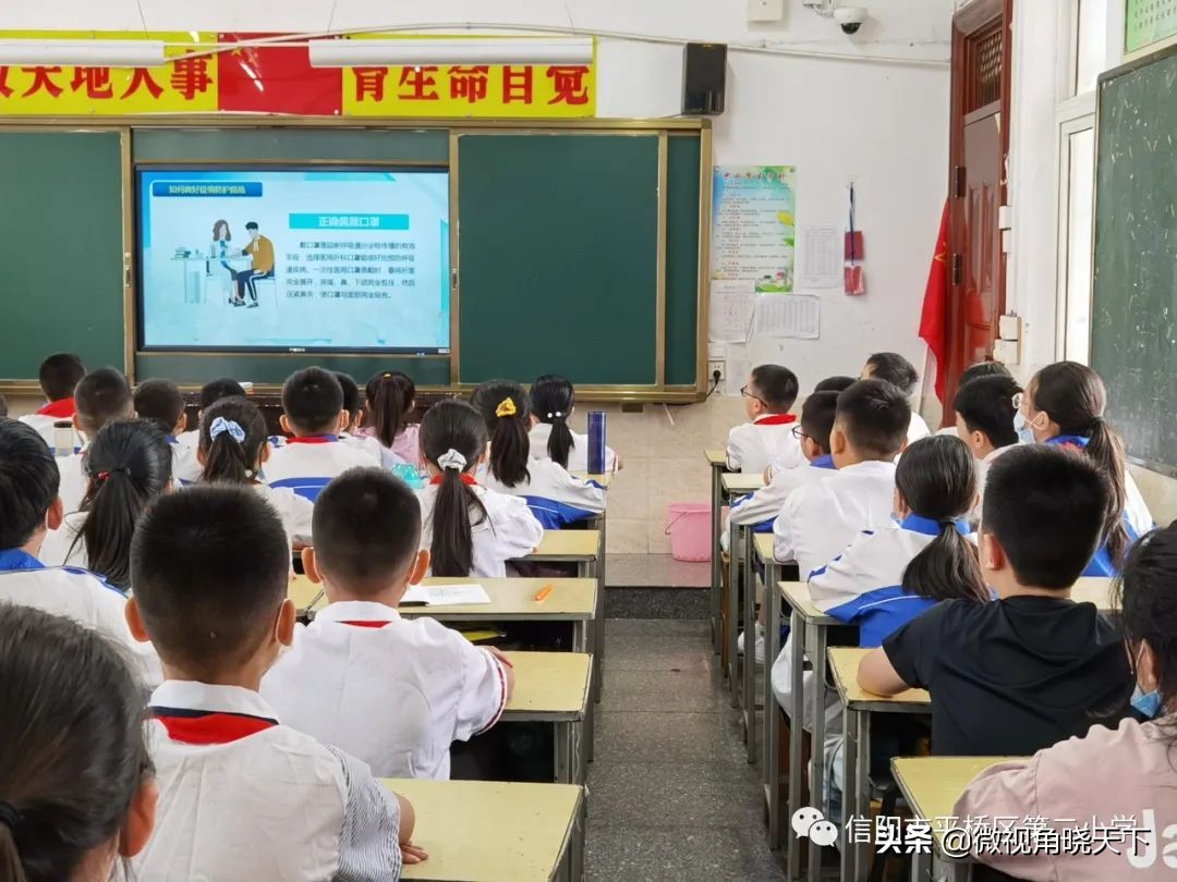 信阳市平桥区小学周六上课,信阳市平桥区第二小学全称