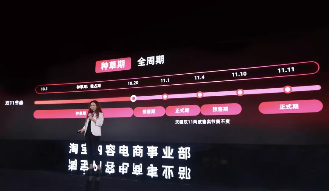 淘宝怎么通过双11盈利,淘宝小卖家双11策略分析报告
