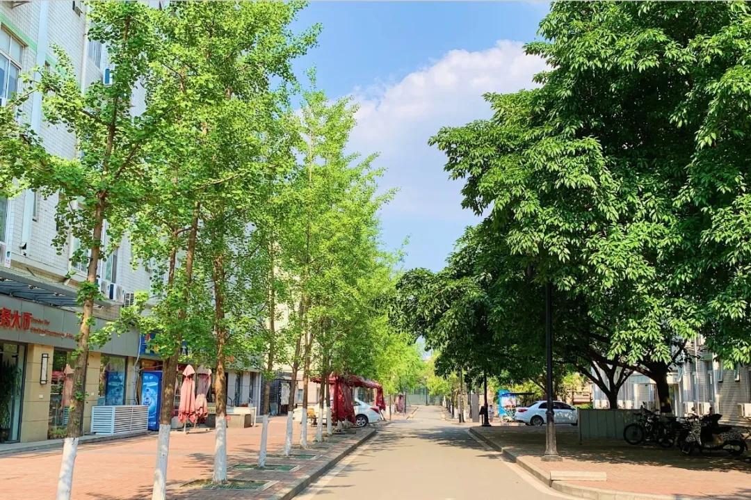 成渝中线高铁新建十陵,成渝高铁中线十陵南站建设时间