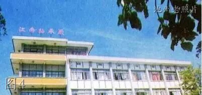 池州老厂老照片,池州老城区老照片