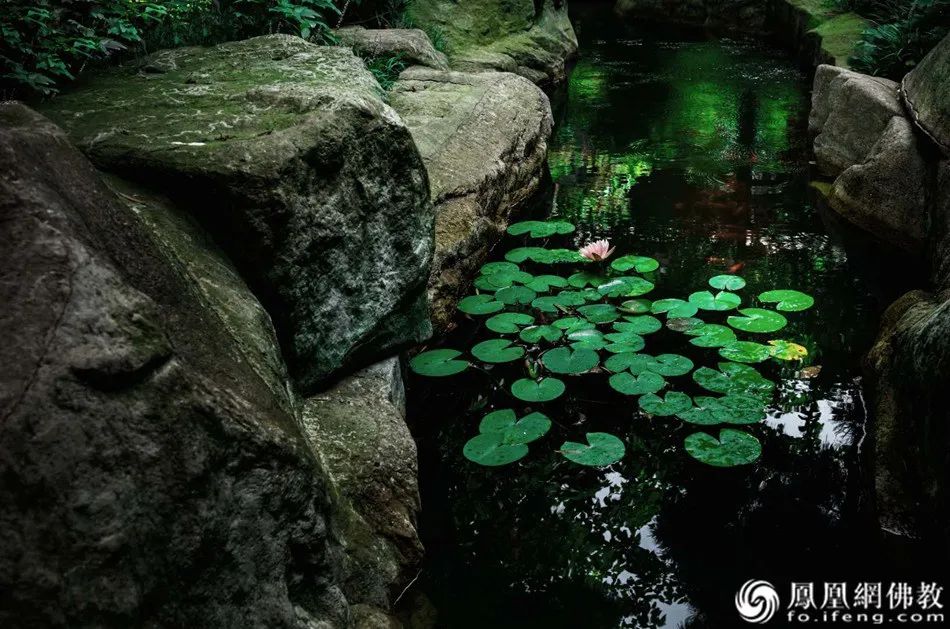 究竟什么是佛教？*京大南**学“文科院士”研究了四十年后这样说