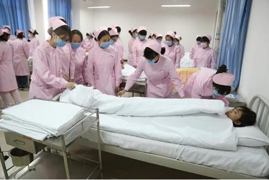 至美海棠最美好的年华遇见你