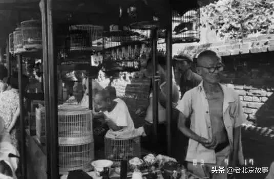 北京金鱼池一号院,北京金鱼池中街附近