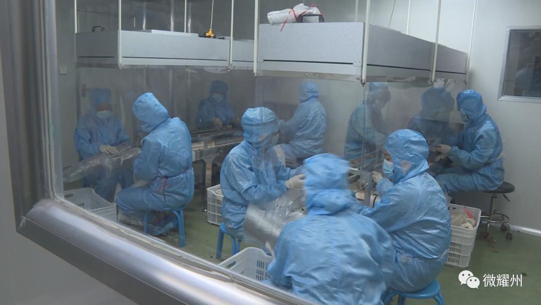 德祥实业食用菌生产加工,德祥香菇