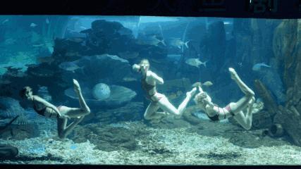 临沂海洋世界优惠券,临沂海洋世界特惠票