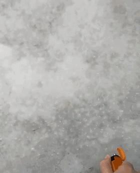 被柳絮困扰,被柳絮搞到崩溃是什么体验