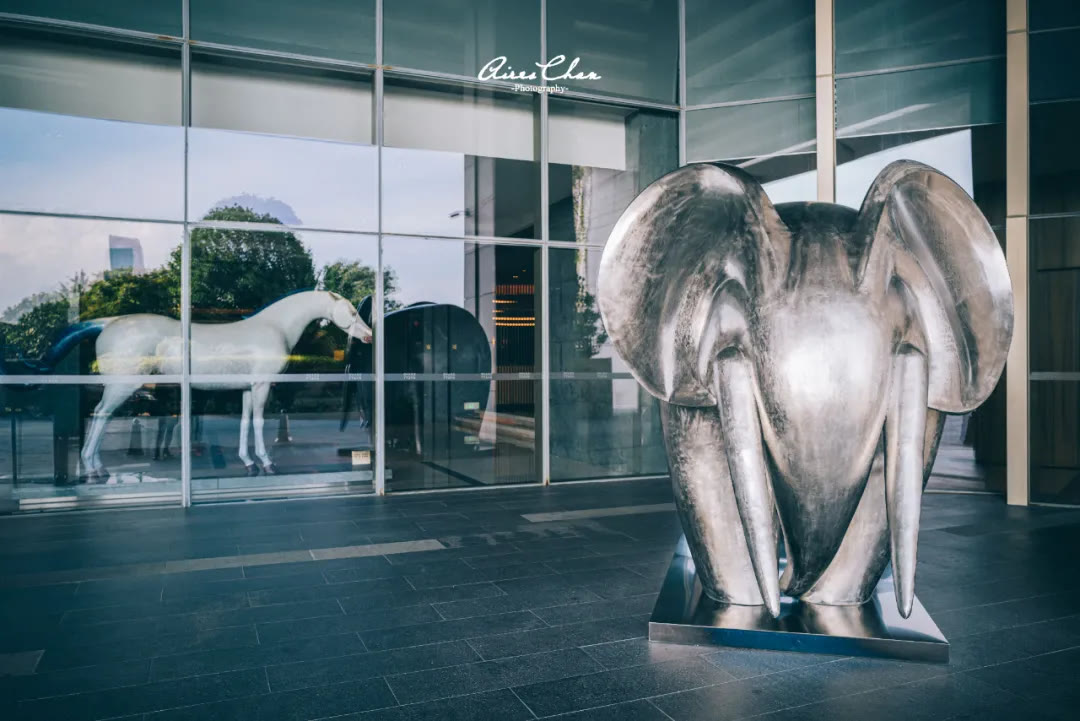 君悦茶颜悦色,长沙君悦茶颜悦色