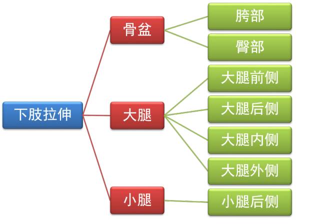 5公里跑后拉伸动作,跑后拉伸详细教程