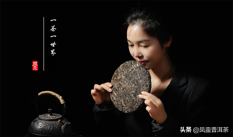 普洱茶名品品鉴,普洱茶品鉴与观赏性