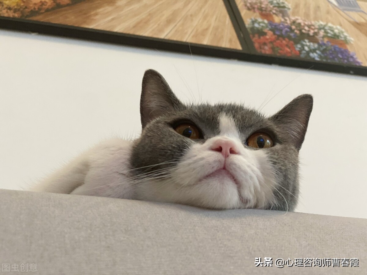 10几年顽固性失眠调理多久才能好,顽固性失眠最佳解决方法