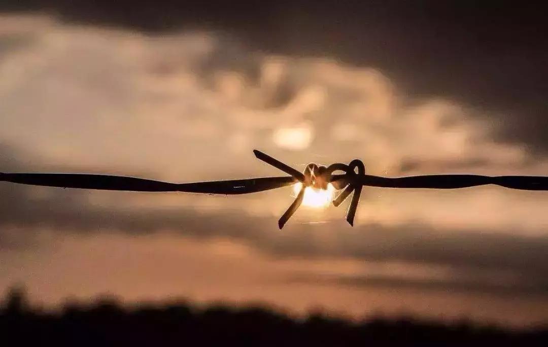 生活本就满目疮痍何必雪上加霜,生活本就满目疮痍但也有人精致