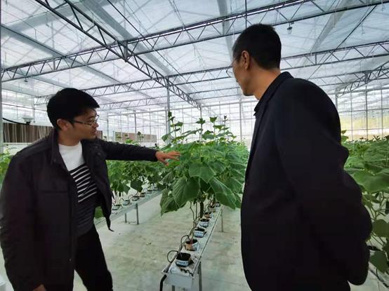 带你江西奉新看菜去，去了绝对不后悔