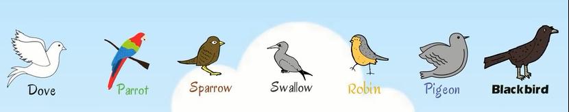 动物英语名称视频大全,兔小贝英语宝典动物名称