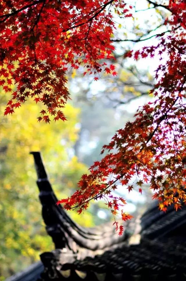 六月我们一起去旅行,九月带你去旅行