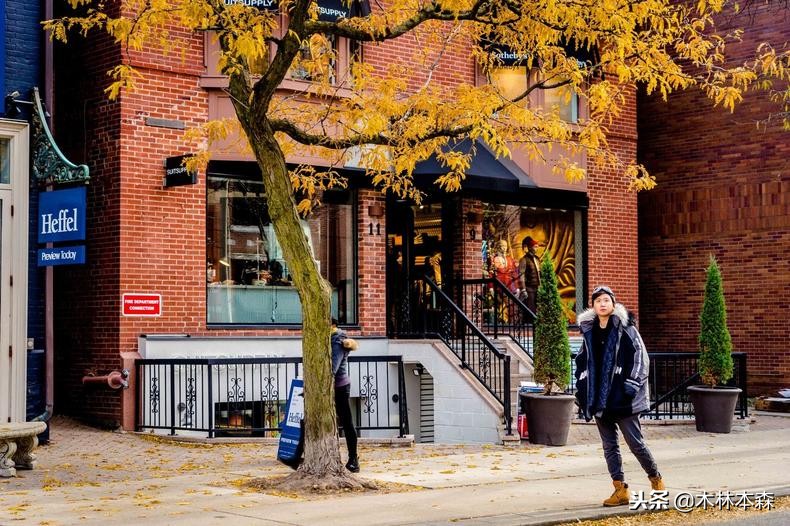 加拿大旅行日记,多伦多最佳生活日记