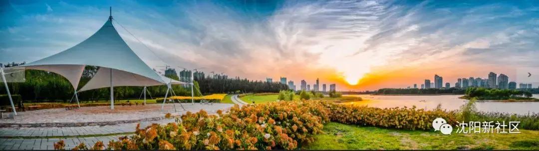 活成自己想要的模样沈北新区,你可能还不知道
