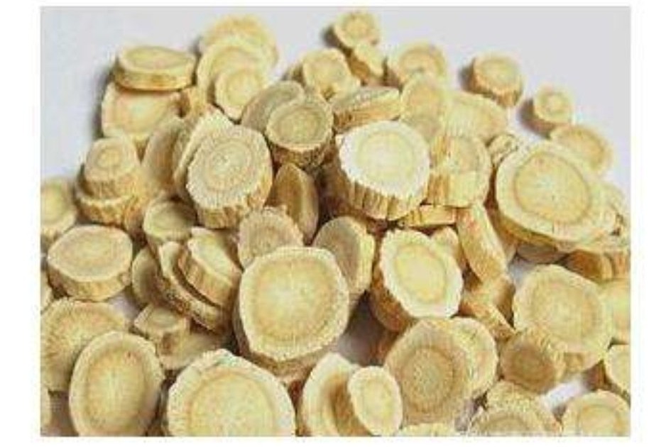 鸡流感治疗偏方,鸡瘟禽流感用什么中药