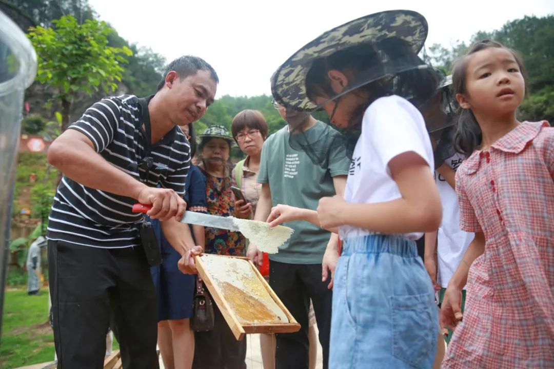 组图：武平县琴韵古筝行六一暨周年庆亲子活动圆满举行