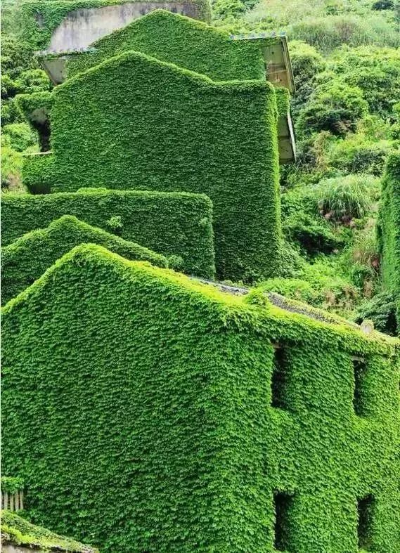 网友评出全球最值得去的50个地方,cnn评世界十大绝美旅行地