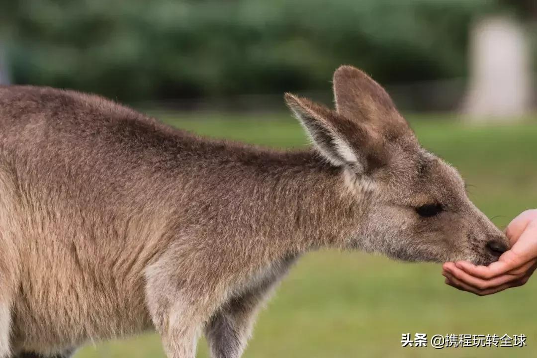 千万别带孩子去四个地方,千万别带孩子去这些地方