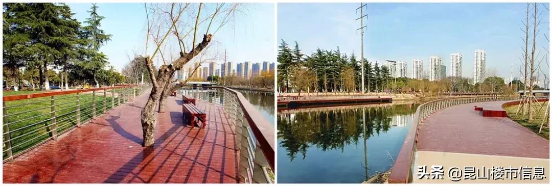 大排场完整视频,大排场