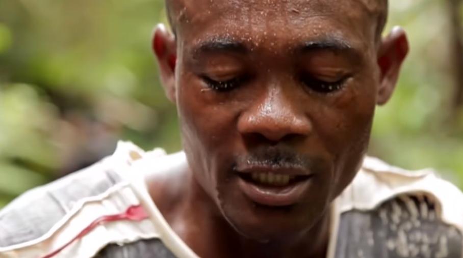 实拍非洲紫檀木*私走**全过程：护林员做*私走**，一根紫檀木赚三万