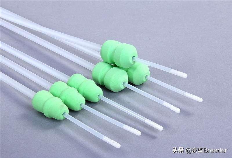 母猪深部输精怎么操作，来看看母猪深部输精具体的操作步骤