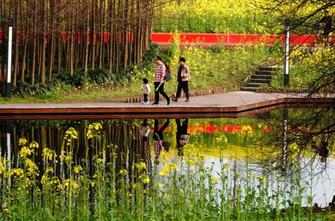 浦东世博滨江公园,浦东24小时不打烊