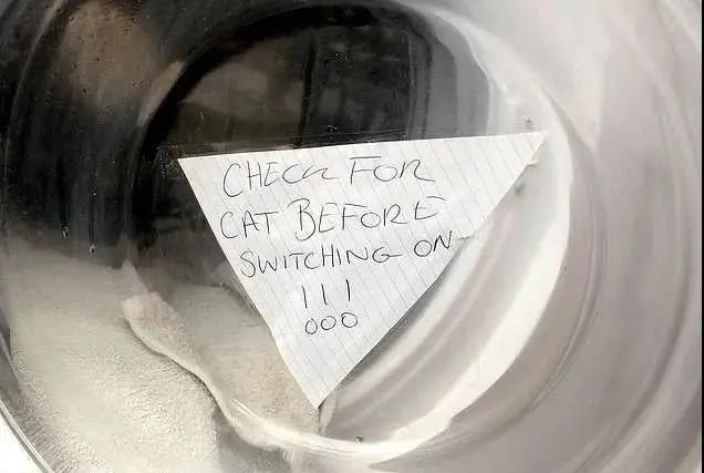 洗衣机里放什么可以去除猫毛,怎么用洗衣机洗掉衣服上的猫毛