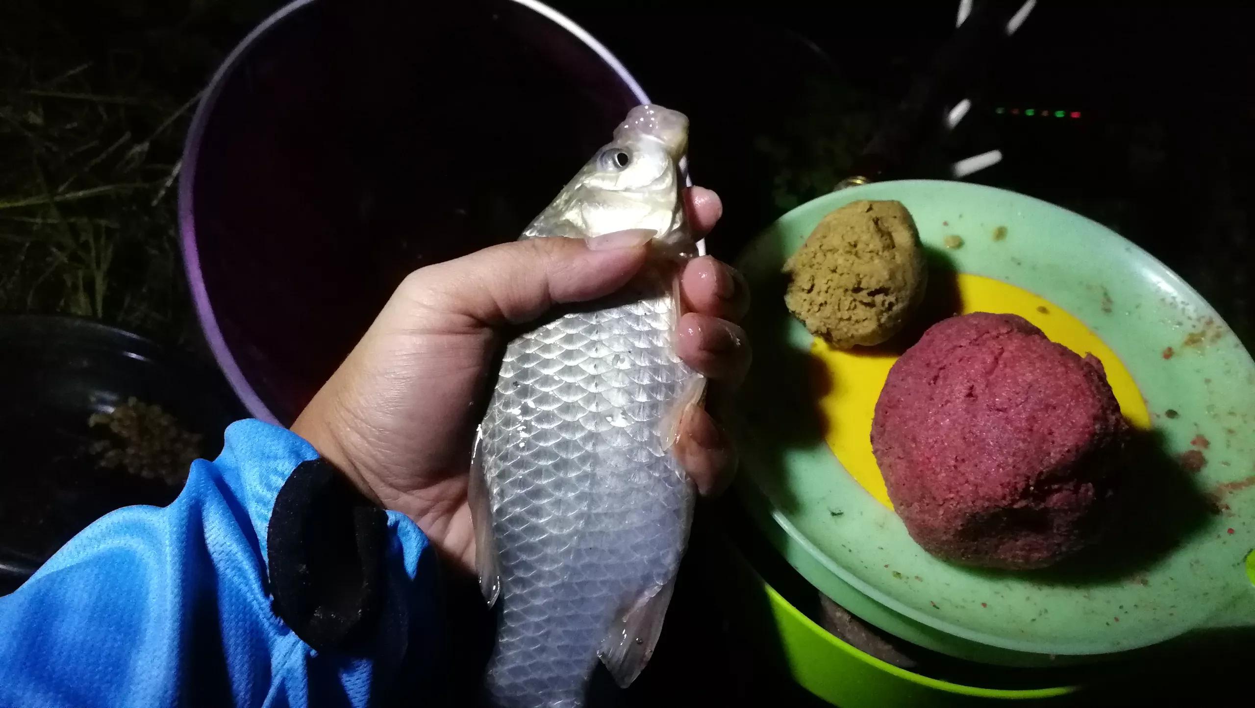 野钓大鱼的5个“专属”技巧,专钓大鱼的方法和技巧