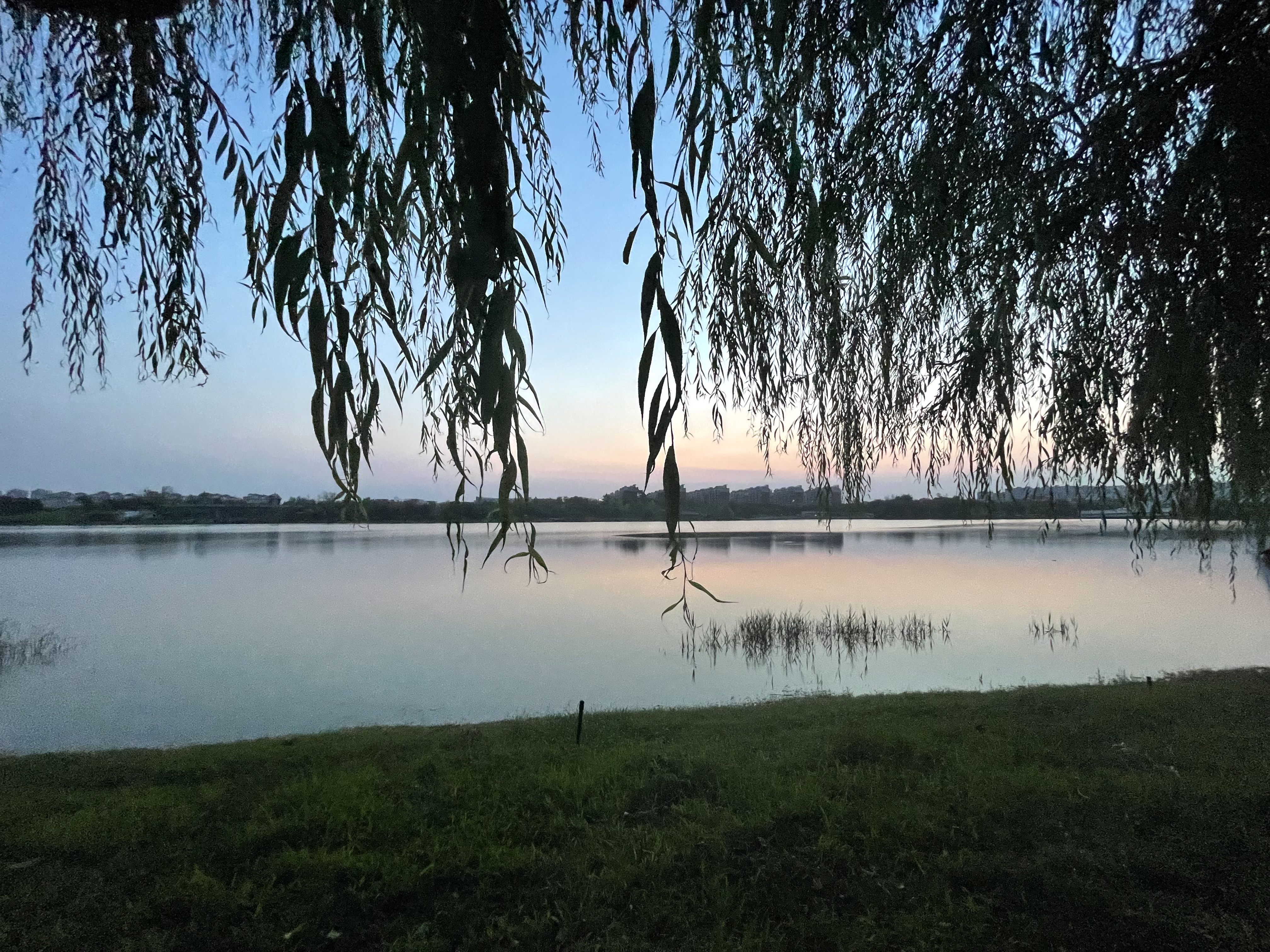 偏执病娇男主推文小说,推文小说病娇偏执