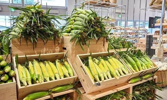 无印良品做事,无印良品和农场