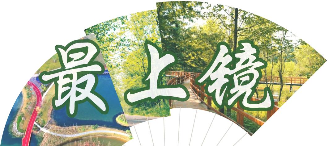 成都绿道被隔开,成都被3条路包围的楼盘