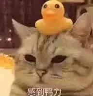 被罚吹了3瓶啤酒，因为我的创业复盘没做好