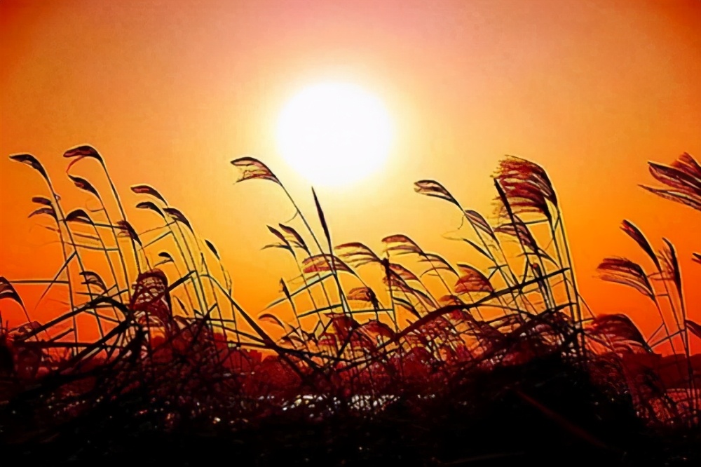 我无比怀念曾经的自己,还怀念初中遇到的人