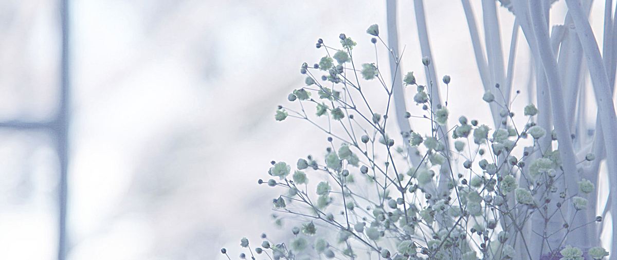 进退两难的人生该怎么办,进退两难的中年