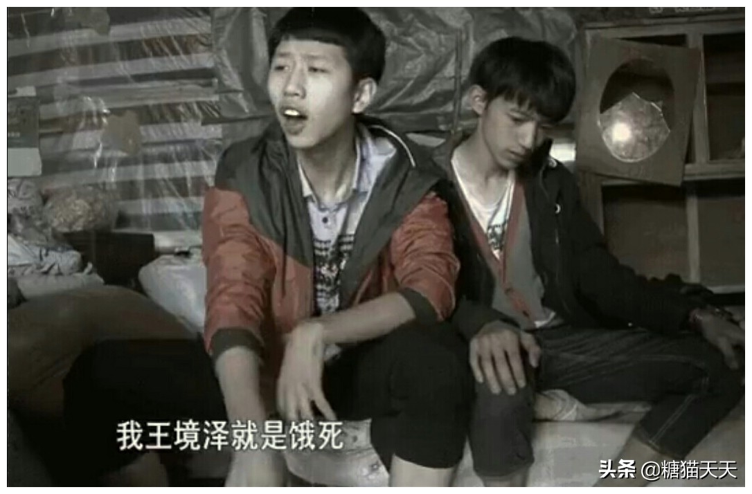 变形计背后的真相是什么,《变形计》分析意义