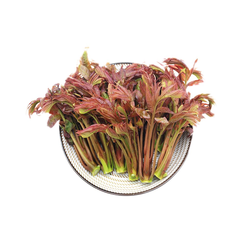 香椿籽的作用与用法及禁忌症,女性长期吃香椿的好处与禁忌