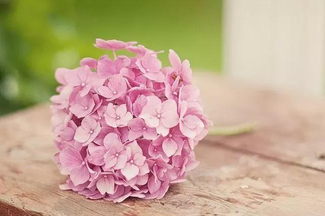 流年已陌岁月成殇全诗,流年已陌岁月静好